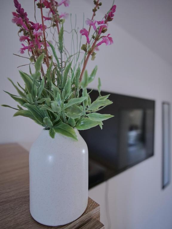 Apartment HBF - Erfurt Bahnhof - 1