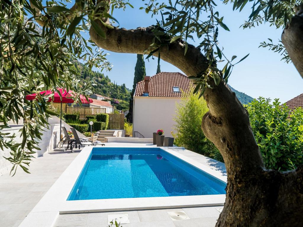 una piscina in un cortile con un albero di Villa Melita a Trsteno