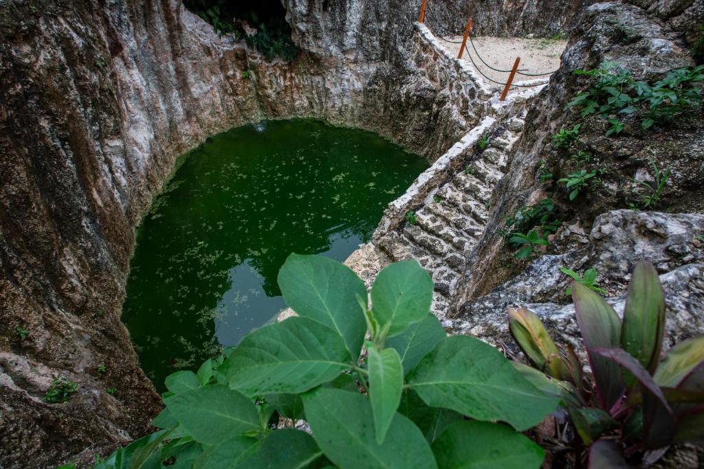 Fotografie z fotogalerie ubytování Jolie Jungle Eco Hotel v destinaci Puerto Morelos