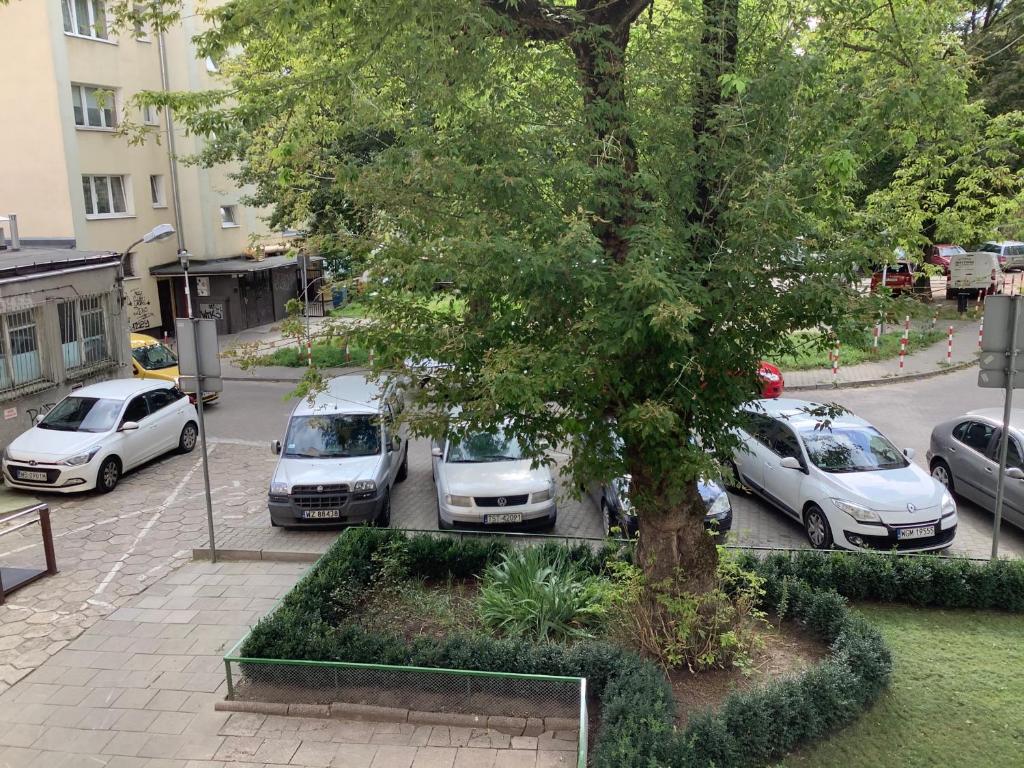 Okolí apartmánu