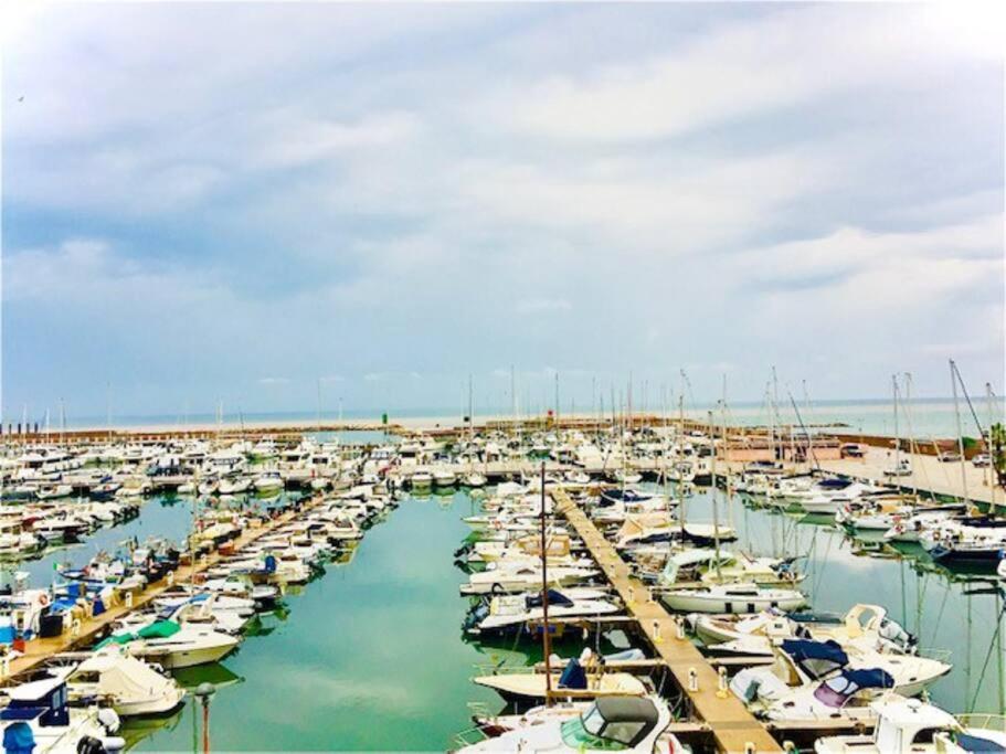 a bunch of boats are docked in a harbor at My Dream Home in Nettuno