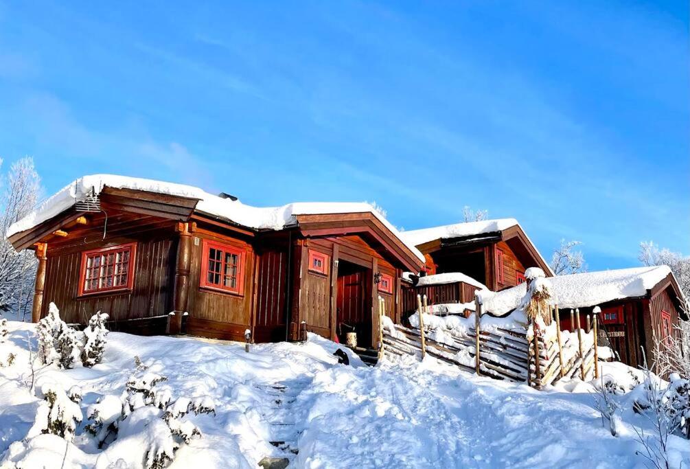 a log cabin in the snow with snow on it at Koselig familiehytte på vakre Dagali - nær Geilo in Dagali