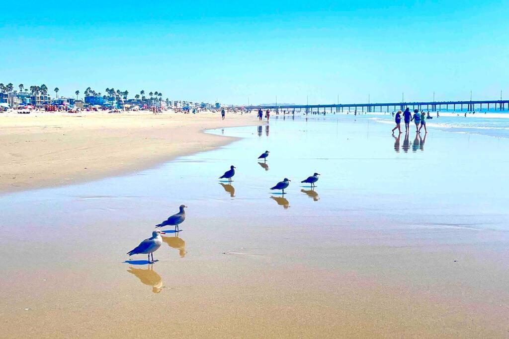 Beach house rental for 3 mths or more