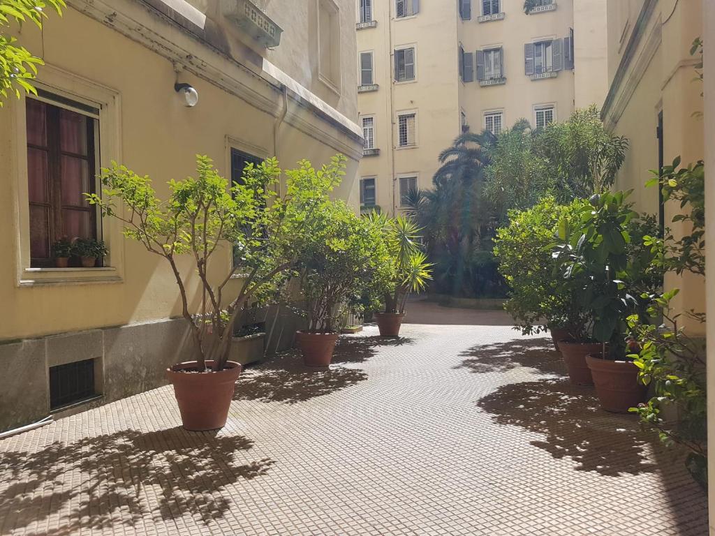 A garden outside Popolo square deluxe flat