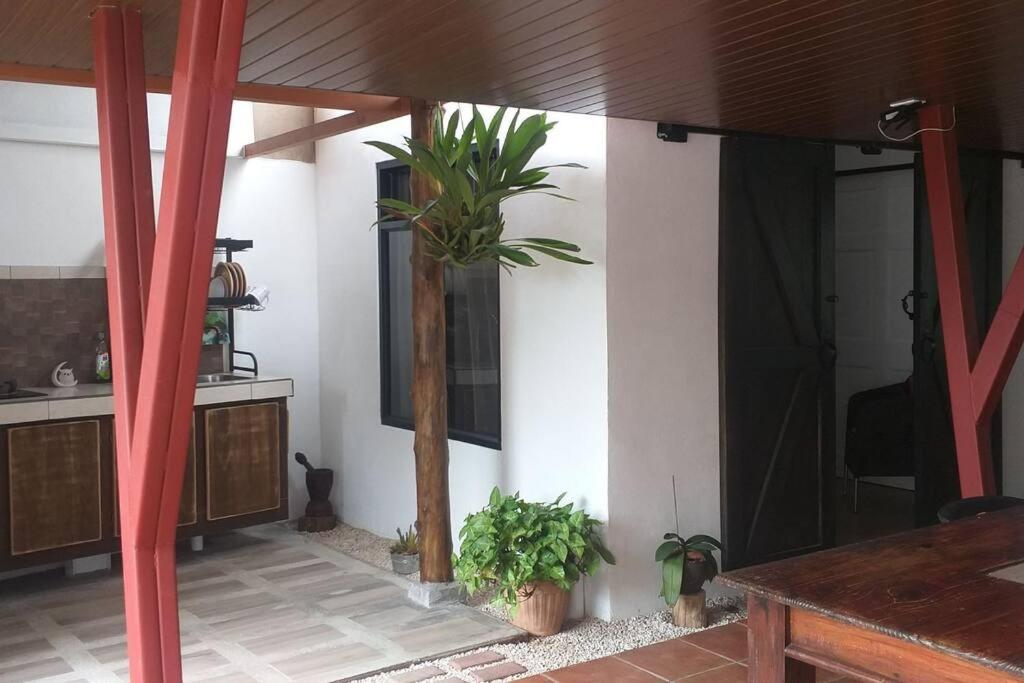 阿拉胡埃拉的住宿－Loft Alajuela，一间有植物的房子的房间