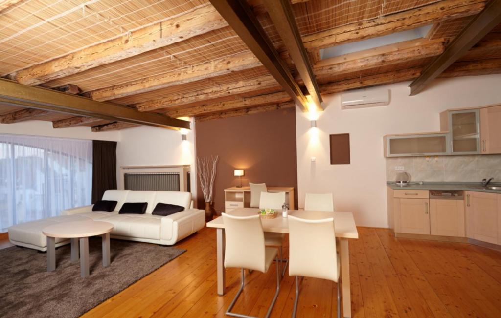 Residence U Černé Věže České Budějovice - Apartamento De Una Habitación Con Vista Y Terraza