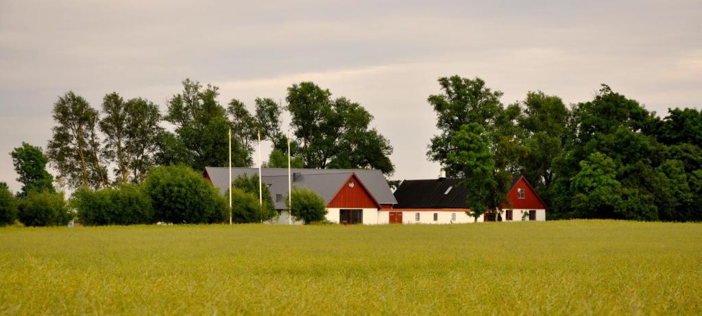 un granero rojo y blanco en un campo con árboles en Nils Holgerssongården, en Skurup