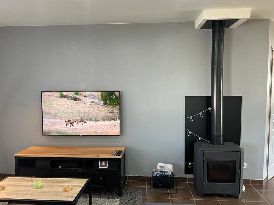 ein Wohnzimmer mit einem TV und einem Holzofen in der Unterkunft Maison rénovée à ceton dans la région du perche en basse Normandie in Ceton