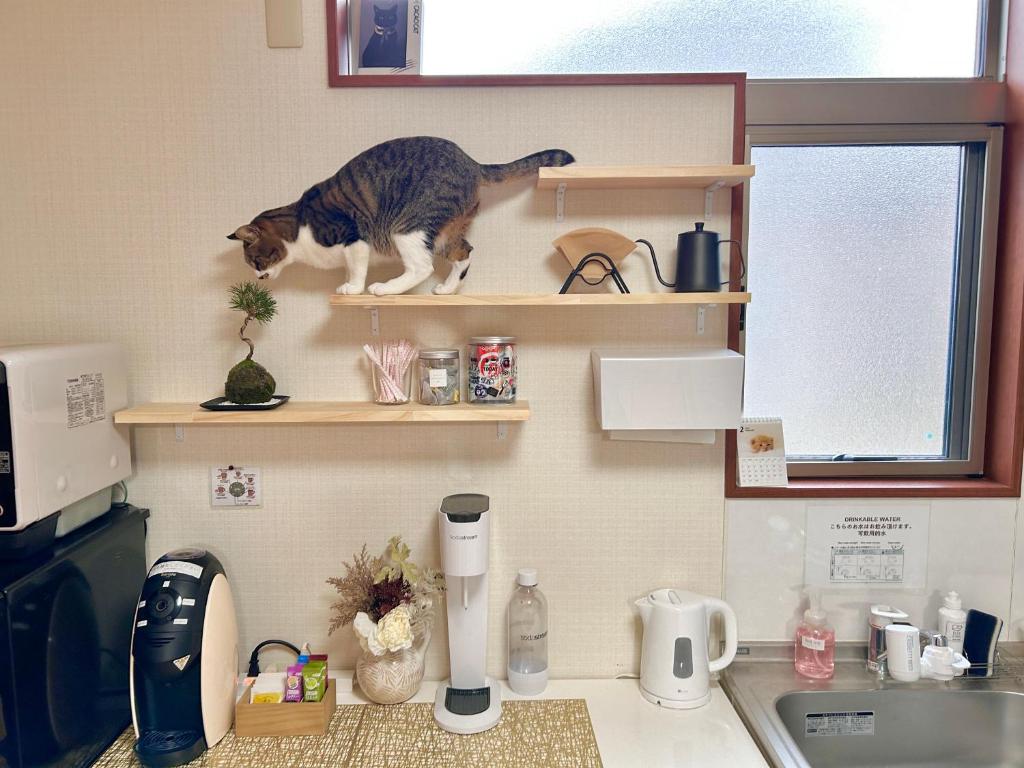 旅籠屋ゆいまーる廚房或簡易廚房