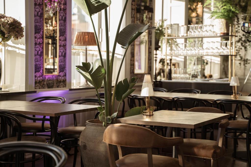 Restaurace v ubytování Continental du Sud