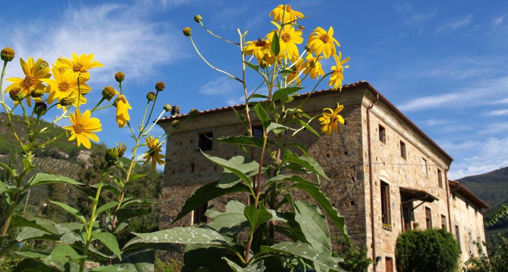 um edifício antigo com flores amarelas em frente em Al Palazzaccio em Calci