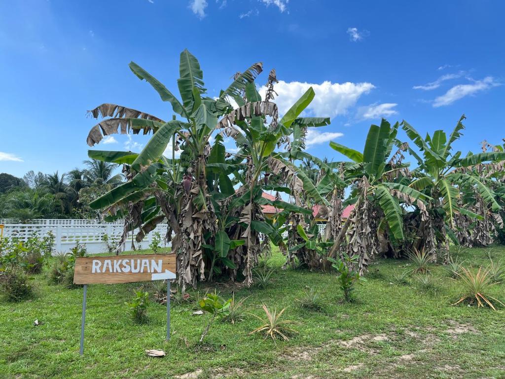 Zahrada ubytování Rak Suan Homestay รักสวนโฮมสเตย์