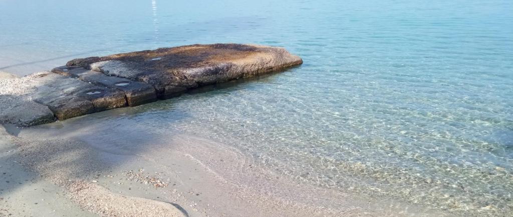 Villa Thalassa Apartments - 14