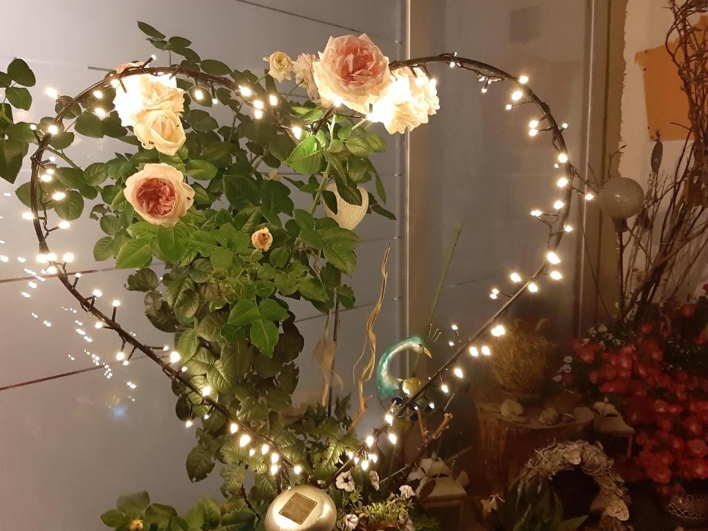 Fotografie z fotogalerie ubytování Florianihof Sankt Marxen v destinaci Brenndorf