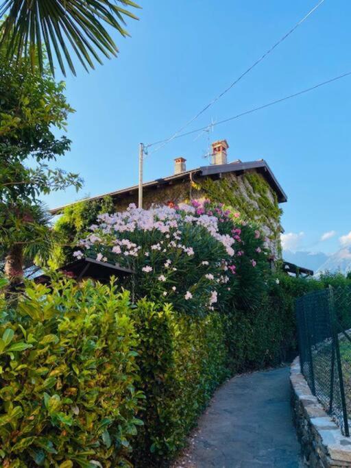Olgiasca