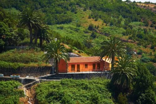 a house on the side of a hill with palm trees at Casa Rural Las Avestruces in Agulo
