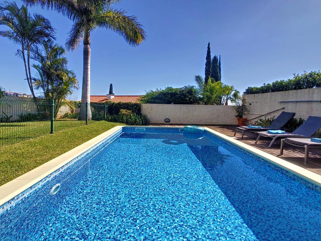 卡尼索Villa Garajau by LovelyStay的一个带两把椅子的游泳池,一个棕榈树