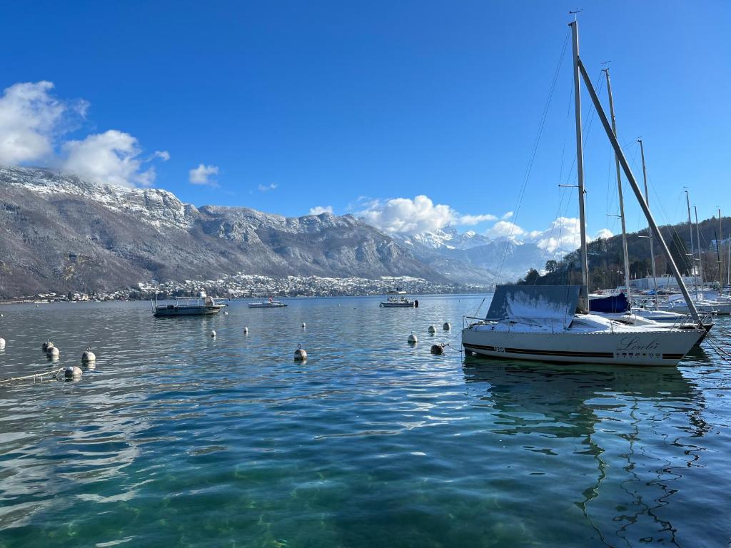 Fotografia z galérie ubytovania La Sonate Au Bord Du Lac et de la Vieille Ville v destinácii Annecy