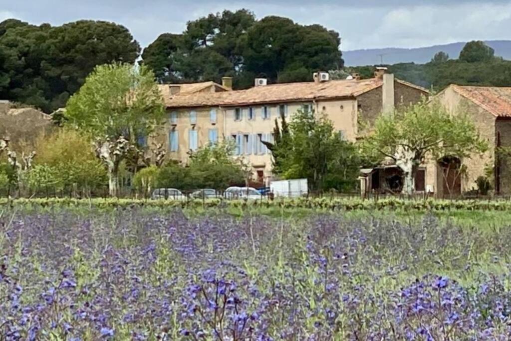 un edificio y un campo de flores púrpuras en Gîte - Le Relais d'Affiac, en Peyriac-Minervois