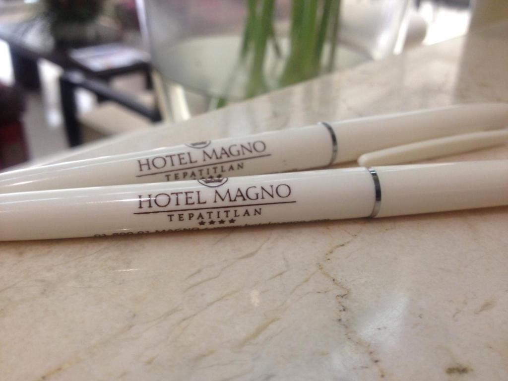 Fotografie z fotogalerie ubytování Hotel Magno Tepatitlán v destinaci Tepatitlán de Morelos