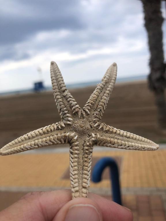Fotografie z fotogalerie ubytování Casa Luna - Sea view apartment Bolnuevo v destinaci Bolnuevo