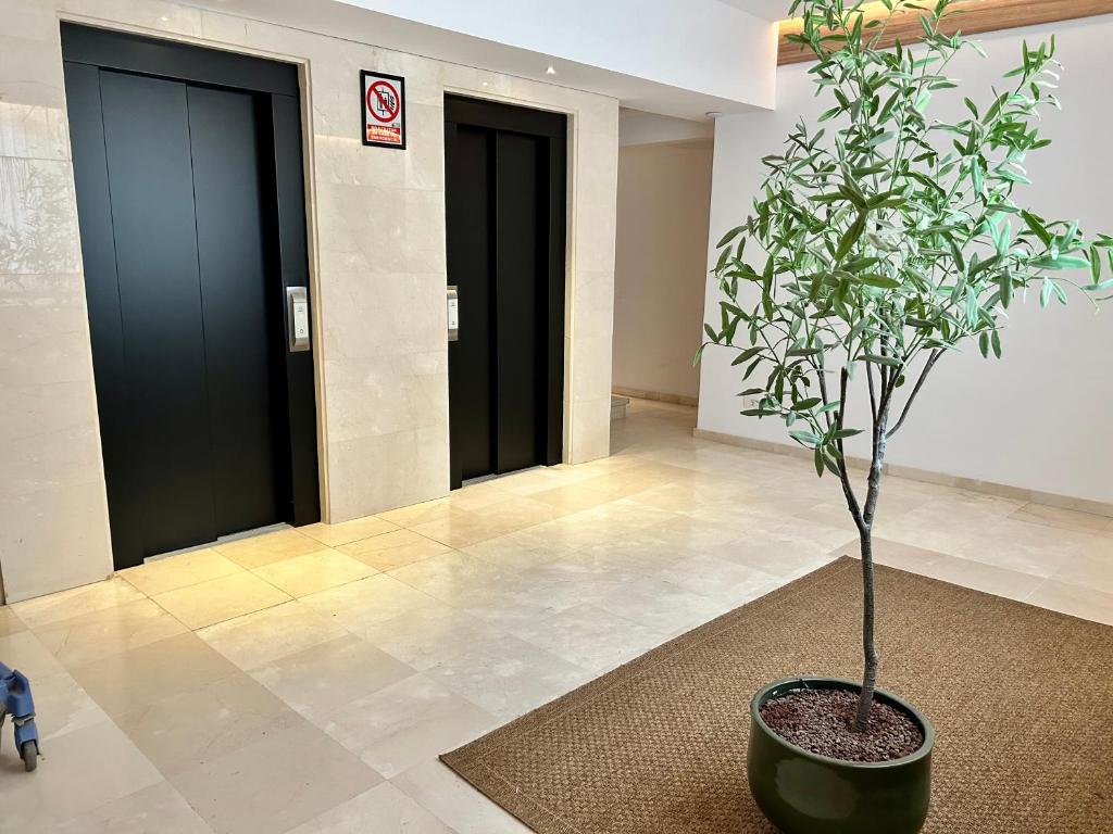 Fotografie z fotogalerie ubytování Apartamentos Bruja v destinaci Santa Cruz de Tenerife