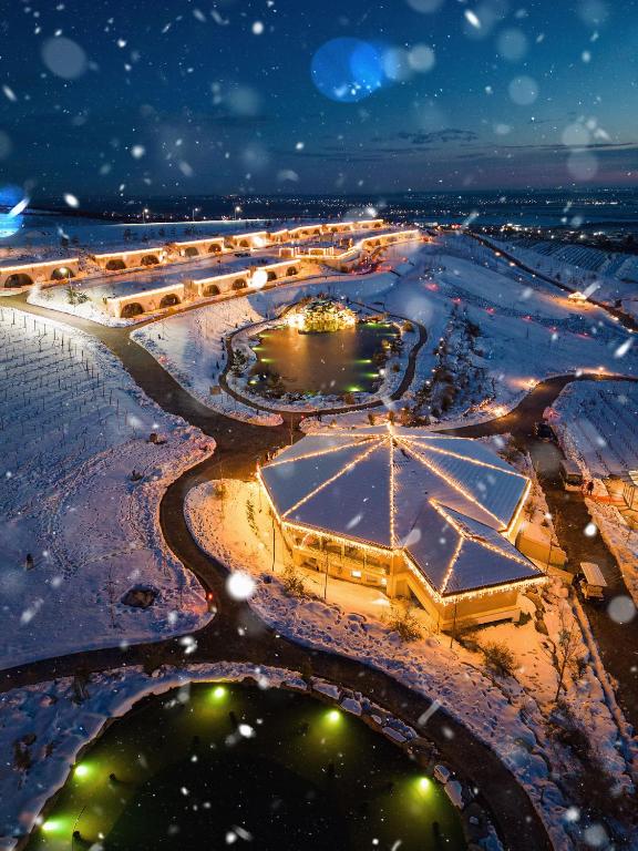 ChiţoraniCasa Timiș - Wellness & Spa Resort的夜晚雪中的公园鸟瞰图