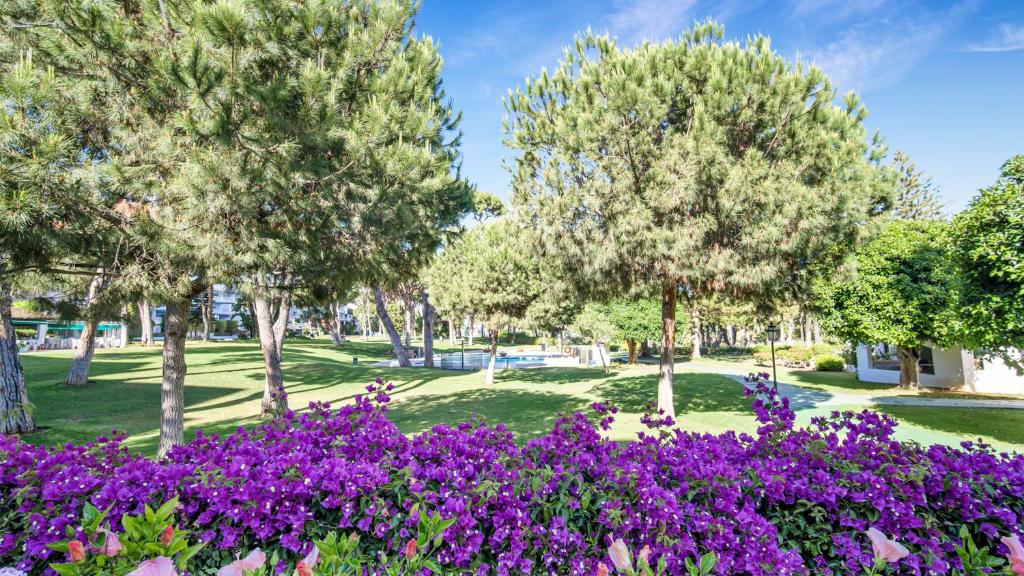 Vonkajšia záhrada v ubytovaní Stylish Sea view apartment in Playas del Duque