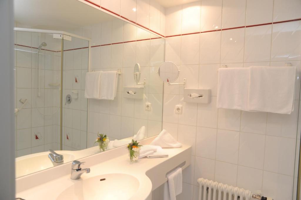 Hotel Gasthaus Adler - Camera Singola Standard