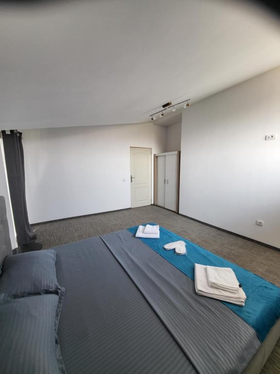 Vila Paradis Apartments Costinesti - 一居室豪华公寓