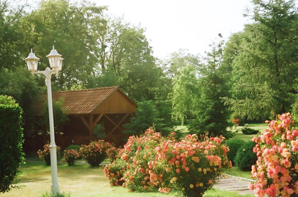 A garden outside Villa Hedi