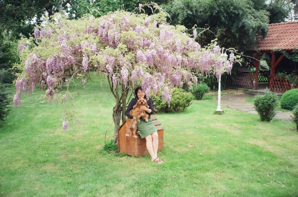 A garden outside Villa Hedi