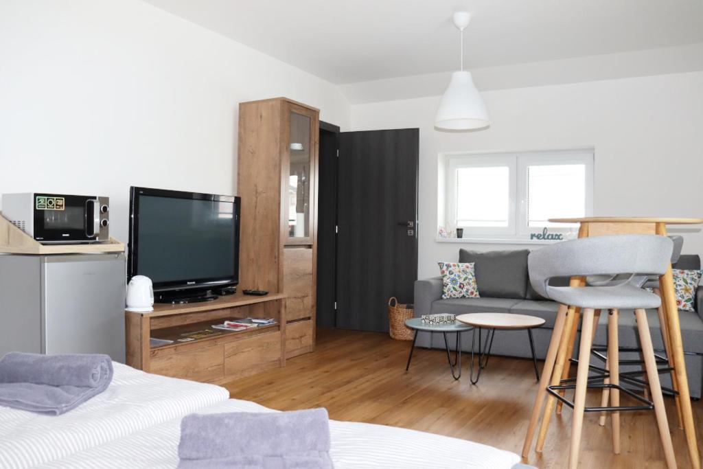 TV a/nebo společenská místnost v ubytování Apartmán Milbach
