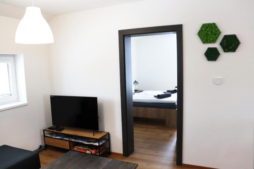 TV a/nebo společenská místnost v ubytování Apartmán Milbach