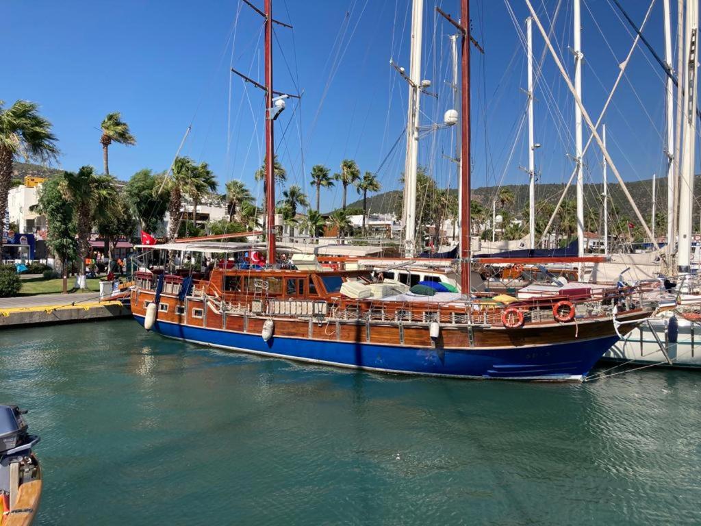 aegeanbluecruise SU-3