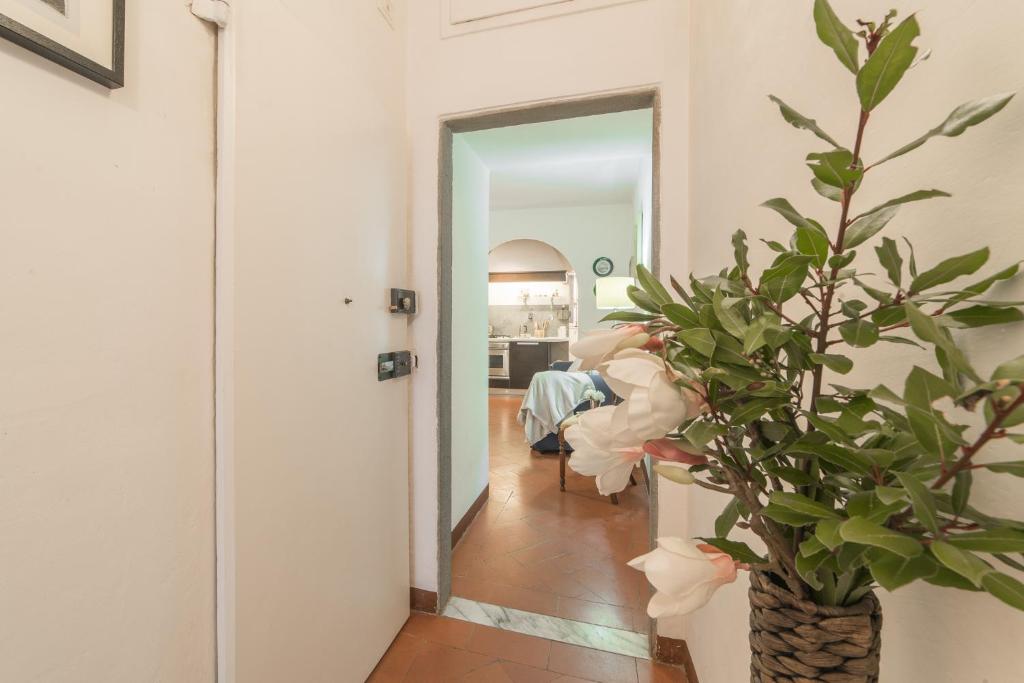 Kép Pitti - Flo Apartments szállásáról Firenzében a galériában