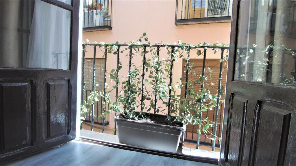 Casa Manuela, Más que una Casa, un Hogar - 4