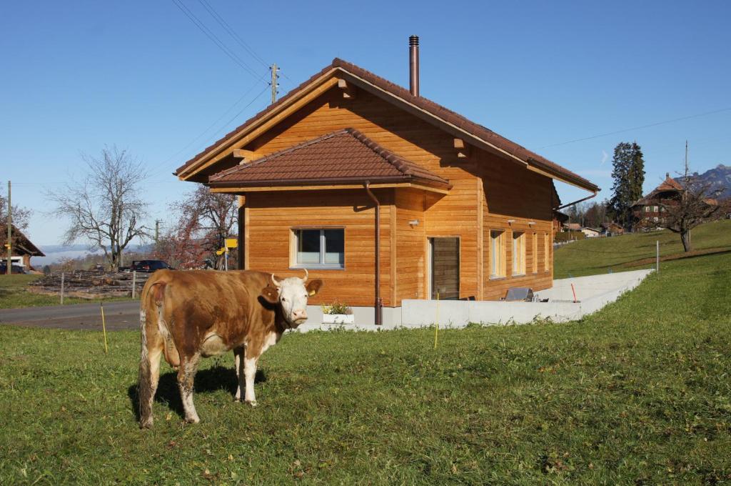 Zvířata v chaty nebo okolí
