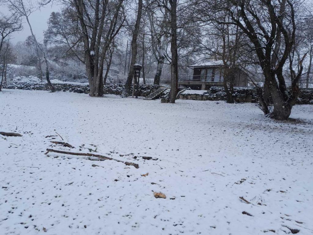 Golden Beach Apartment during the winter