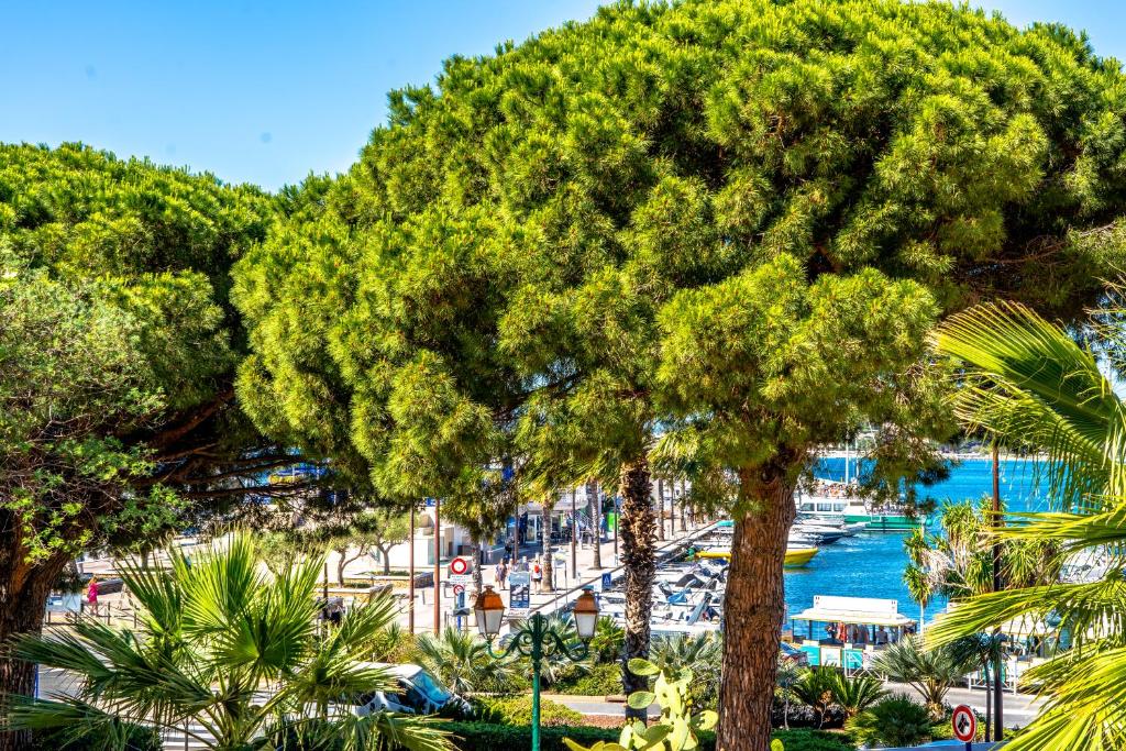 a large tree in a park next to a body of water at Hotel Les Palmiers in Sainte-Maxime