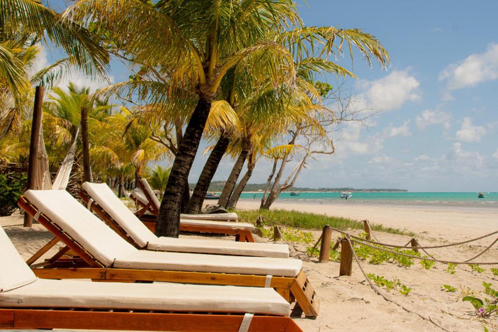 a row of lounge chairs on a beach with palm trees at Pousada Enero in Maragogi