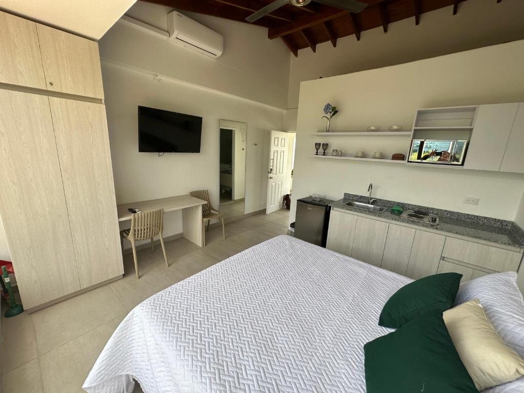 TV a/nebo společenská místnost v ubytování Magico Apartaestudio con Piscina 1 Habitacion PR39