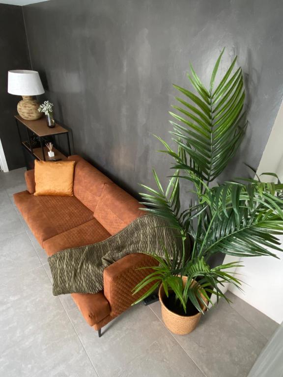 a living room with a couch and a plant at Rio D´Sal in Alcochete