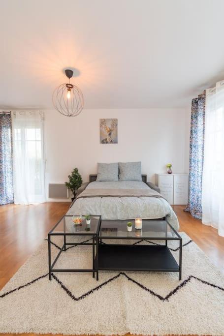 Le Merveilleux-48m2-Disney - 10