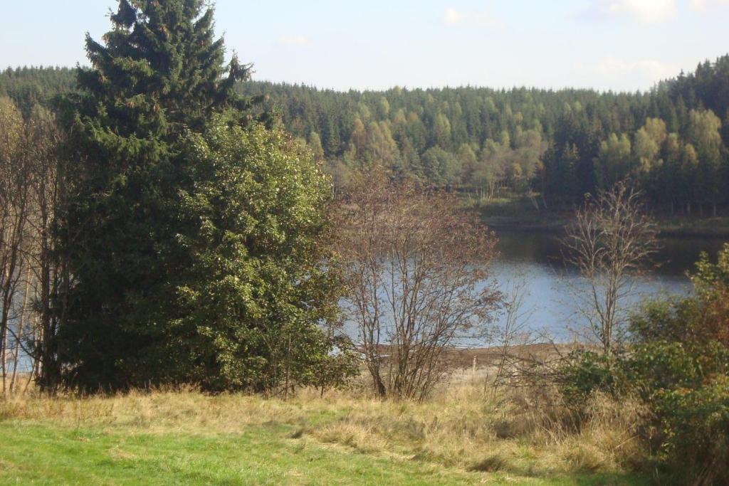 Příroda nedaleko hotelu