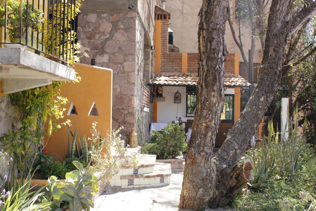 Zahrada ubytování Casa Diez-59 Guanajuato Capital