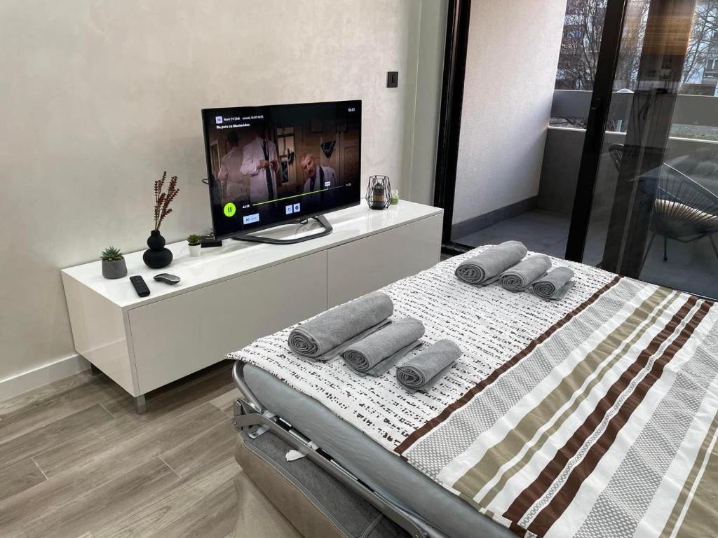 - une chambre avec un lit et une télévision sur un meuble blanc dans l'établissement Alisa Novi Beograd, à Bežanija