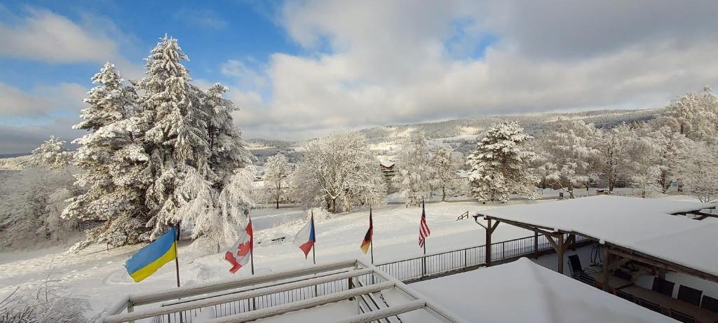 Fotografie z fotogalerie ubytování Club Canada Lipno De Luxe v destinaci Lipno nad Vltavou