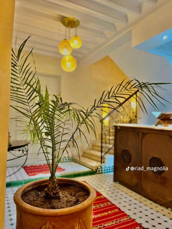 Posezení v ubytování Riad Magnolia&SPA