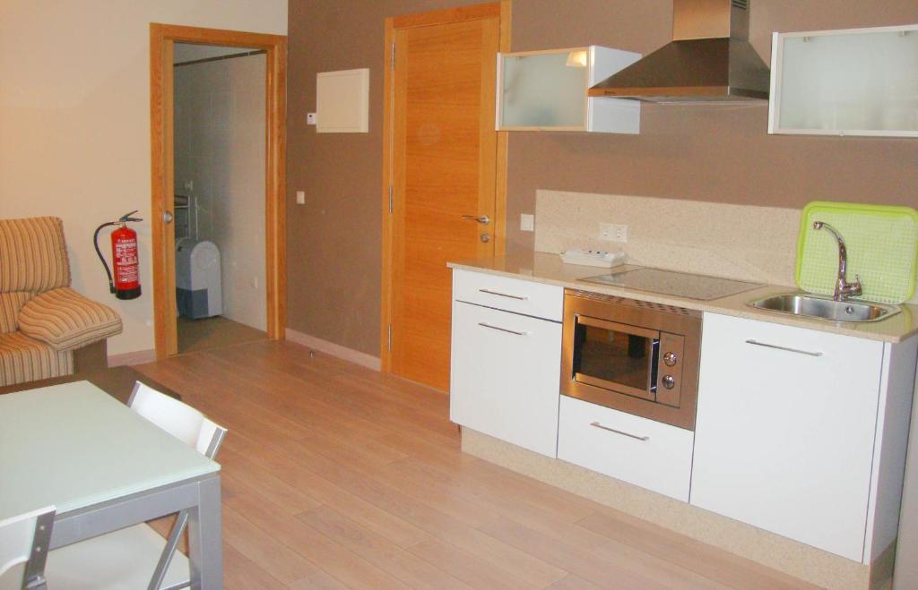 Kuchyň nebo kuchyňský kout v ubytování Apartamentos Fandin